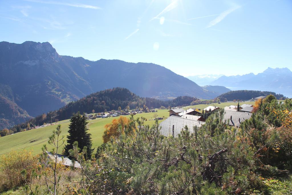 La Petite Silene Apartman Leysin Kültér fotó