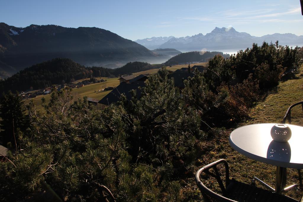 La Petite Silene Apartman Leysin Kültér fotó